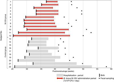 Colonization of Supplemented Bifidobacterium breve M-16V in Low Birth Weight Infants and Its Effects on Their Gut Microbiota Weeks Post-administration